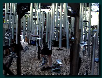MOV08394.jpg
