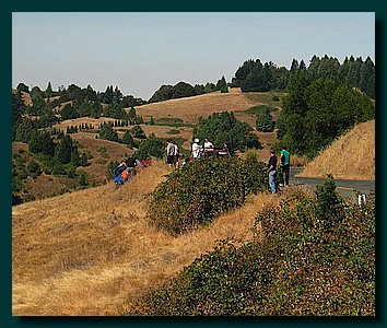 P1000710B.JPG