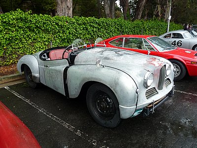 P1150863.JPG