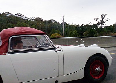 P1150976.JPG