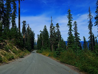 P1160280I.JPG