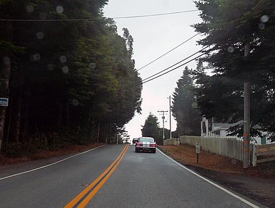 P1160346.JPG