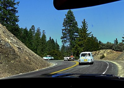 calmelee2010-114.jpg