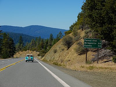 calmelee2010-120.jpg