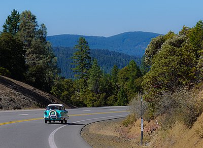 calmelee2010-121.jpg