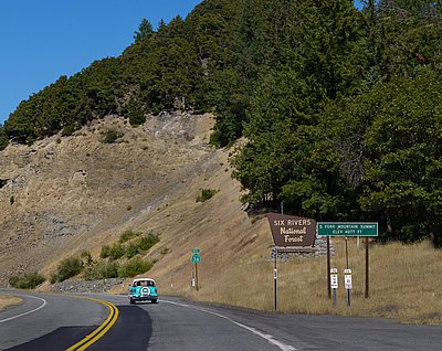 calmelee2010-126.jpg