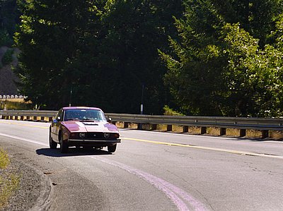 calmelee2010-127.jpg