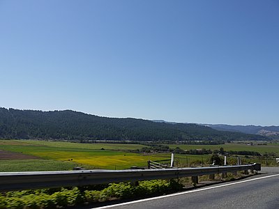 calmelee2010-135.jpg