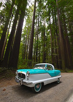 calmelee2010-184.jpg