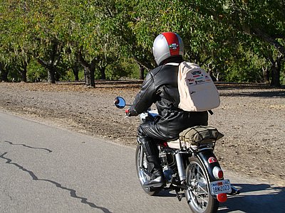 DSC06214.JPG