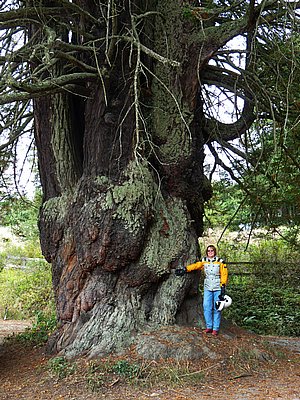 P1220693A.JPG