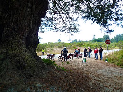 P1220694.JPG