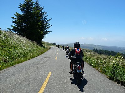 P1130017.JPG