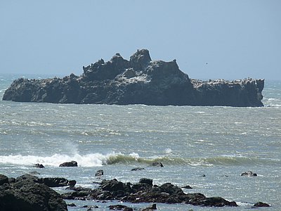 P1130128.JPG