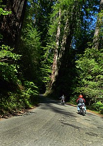 P1130230.JPG